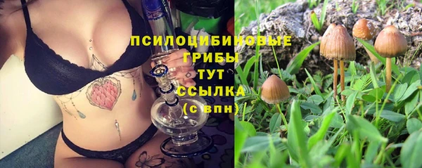 каннабис Алексеевка