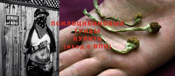 ешки Алзамай