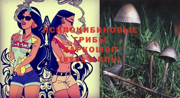 ешки Алзамай