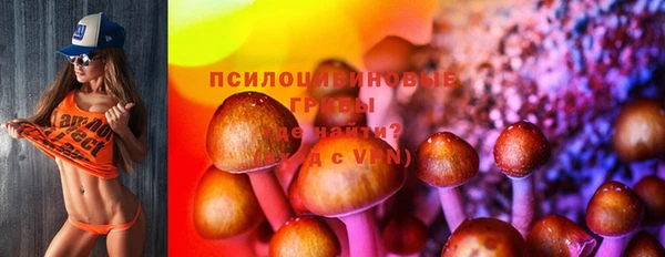 каннабис Алексеевка