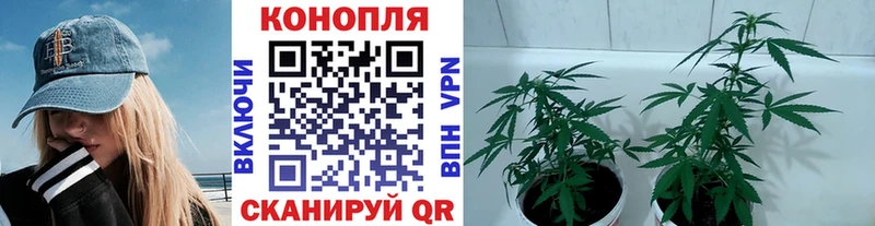 хочу   Уяр  Шишки марихуана LSD WEED 
